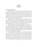 Giải pháp phát triển thị trường tiêu thụ sản phẩm của công ty TNHH Tthương mại Dịch vụ và xuất nhập khẩu Phương Hiền