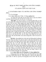 SỰ PHÁT TRIỂN ĐƯỜNG lối CÔNG NGHIỆP hóa của ĐẢNG CỘNG sản VIỆT NAM 