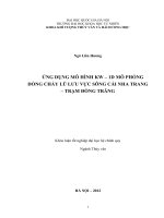 ỨNG DỤNG MÔ HÌNH KW – 1D MÔ PHỎNG DÕNG CHẢY LŨ LƢU VỰC SÔNG CÁI NHA TRANG – TRẠM ĐỒNG TRĂNG