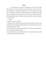 bài tập lớn luật hình sự đề số 4