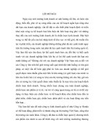 thực trạng chương trình quản lý sản phẩn của công ty HONDA trong điều kiện môi trường marketing quốc tế