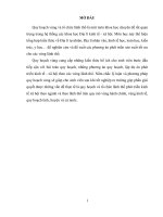 Tiểu luận Quy hoạch vùng và tổ chức lãnh thổ