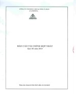 Mẫu báo cáo tài chính hợp nhất quý