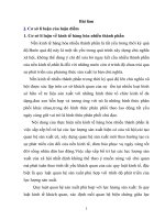 Tư tưởng hồ chí minh về kinh tế hàng hóa nhiều thành phần 