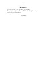 Ứng dụng các nguyên tắc quản trị rủi ro tín dụng của basel tại ngân hàng TMCP xuất nhập khẩu việt nam