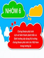 Chứng khoán phái sinh Lịch sử hình thành phát triển và  Định hướng xây dựng thị trường chứng khoán phái sinh cho Việt Nam trong tương lai