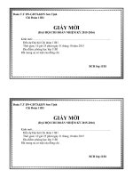 GIẤY MỜI ĐẠI HỘI CHI ĐOÀN