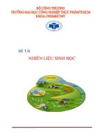 TIỂU LUẬN NHIÊN LIỆU SINH HỌC