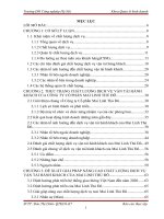 Giải pháp nâng cao chất lượng dịch vụ vận tải hành khách Mai Linh Thủ Đô