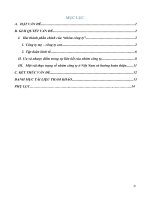 Trình bày hiểu biết của mình về sự liên kết mô hình nhóm công ty