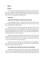 Cơ sở pháp lí của trách nhiệm vật chất của cán bộ, công chức 