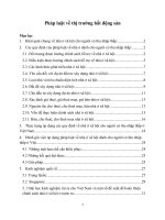 Nhà ở xã hội cho người có thu nhập thấp