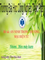 bài giảng an ninh thương mại điện tử