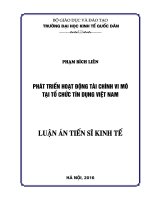 Phát triển hoạt động tài chính vi mô tại các tổ chức tín dụng Việt Nam