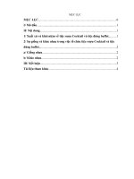 146 sự giống và khác nhau trong việc tổ chức tiệc rượu cocktail và tiệc đứng buffet 