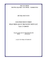 Giải pháp hoàn thiện hoạt động quản trị nguồn nhân lực tại c t group 