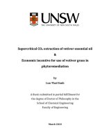 a thesis submitted in partial fulfillment for the degree of doctor of philosophy in the school of chemical engineering faculty of engineering