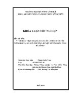 TÌM HIỂU THỰC TRẠNG sản XUẤT CAM bù của các NÔNG hộ tại xã sơn TRƯỜNG, HUYỆN HƯƠNG sơn, TỈNH hà TĨNH ”