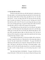 Nghiên cứu một số mô hình liên kết trong sản xuất và tiêu thụ rau chế biến giữa một số công ty chế biến nông sản Bắc Giang và các hộ nông dân xã Quang Thịnh,