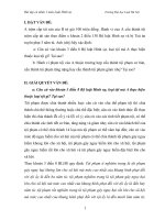 Bài tập cá nhân 1 môn Luật Hình sự