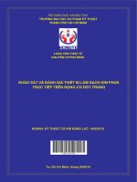 Khảo sát và đánh giá thiết bị làm sạch kim phun trực tiếp trên động cơ đốt trong