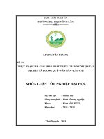 Thực trạng và giải pháp phát triển sản xuất kinh doanh chăn nuôi lợn tại địa bàn xã Dương Quỳ, huyện Văn Bàn, tỉnh Lào Cai