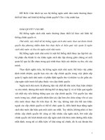 108 giải thích tại sao hệ thống ngân sách nhà nước thường được thiết kế theo mô hình hệ thống chính quyền cho ví dụ minh họa 