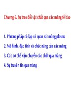 Sự trao đổi chất qua màng tế bào