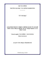 Giải pháp hoàn thiện chính sách tỷ giá để thúc đẩy hoạt động xuất nhập khẩu của việt nam 