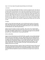 Đề cương lịch sử văn minh thế giới  Câu 2