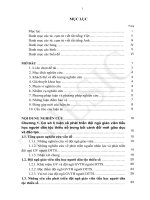 Phát triển đội ngũ giáo viên tiểu học người dân tộc thiểu số vùng Tây Bắc đáp ứng yêu cầu đổi mới giáo dục và đào tạo