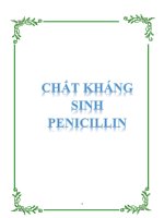 CHẤT KHÁNG SINH PENICILIN