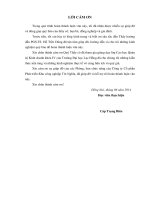 Giải pháp nâng cao hiệu quả hoạt động kinh doanh của công ty cổ phần phát triển khu công nghiệp tín nghĩa đến năm 2020 