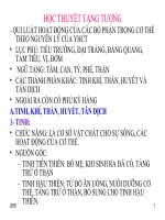 Bài giảng học thuyết tạng tượng