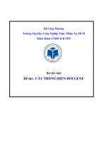 CÂY TRỒNG BIẾN ĐỔI GIEN