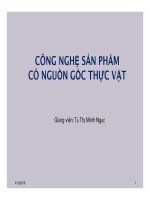 Công nghệ sản phẩm có nguồn gốc thực vật tạ thị minh ngọc
