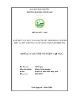 Nghiên cứu các nhân tố ảnh hưởng đến phát triển kinh tế hộ trên địa bàn xã Hương Cần, huyện Thanh Sơn, Tỉnh Phú Thọ