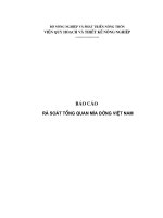 báo cáo rà soát tổng quan mía đường việt nam