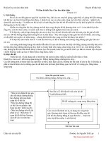 Võ lâm bí tịch Oxy Cửu âm chân kinh