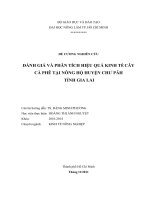 ĐÁNH GIÁ và PHÂN TÍCH HIỆU QUẢ KINH tế
