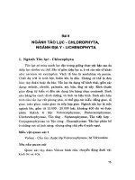 Giáo trình thực tập hệ thống học thực vật  phần 2