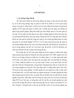 Tiểu luận xây dựng mô hình kế toán trách nhiệm trong các doanh sản xuất sữa việt nam 