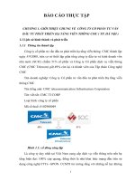 Báo cáo thực tập quản trị kinh doanh: Công ty cổ phần tư vấn đầu tư phát triển hạ tầng viễn thông  CMC