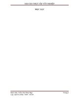 Tìm hiểu và đánh giá tình hình sản xuất kinh doanh, tình hình tài chính và công tác tổ chức kế toán vốn bằng tiền của công ty cổ phần điện tử viễn thông kiến quốc năm 2013 