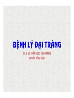 Bài giảng bệnh lý đại tràng   ths  BS  trần ngọc lưu phương