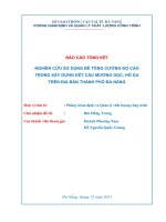 NGHIÊN CỨU SỬ DỤNG BÊ TÔNG CƯỜNG ĐỘ CAO TRONG XÂY DỰNG KẾT CẤU MƯƠNG DỌC, HỐ GA TRÊN ĐỊA BÀN THÀNH PHỐ ĐÀ NẴNG