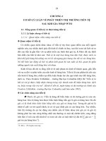 Tiểu luận phát triển thị trường tiền tệ ở việt nam sau khi gia nhập tổ chức thương mại thế giới 