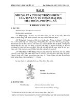 Bài giảng y học quân sự  bài 19   những cây thuốc trọng điểm của tuyến y tế cơ sở