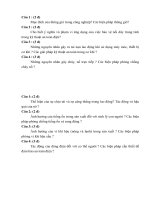 Đề thi môn an toàn lao động