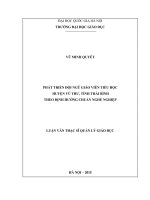 Phát triển đội ngũ giáo viên tiểu học huyện vũ thư, tỉnh thái bình theo định hướng chuẩn nghề nghiệp